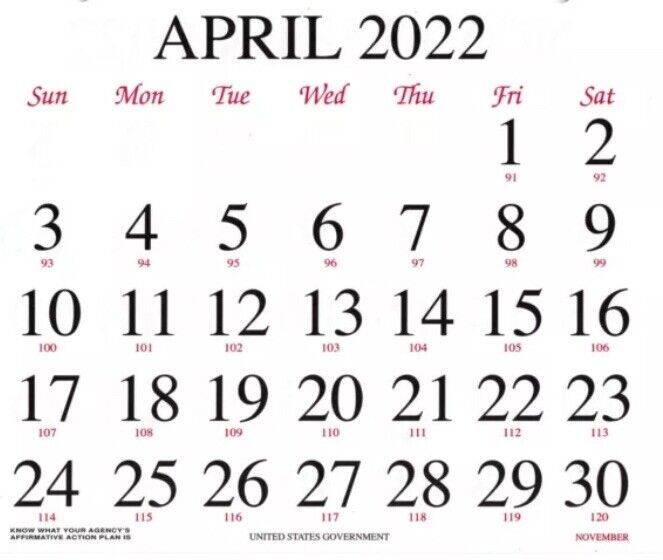 WALL CALENDAR 2025