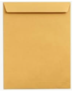[PS0022] KRAFT ENVELOPES 10 X 15
