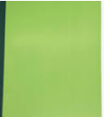 [PS8981] FOLDER GREEN HARD (EACH)